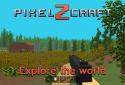 Pixel Craft Z screenshot 1