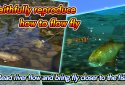 Fly Fishing 3D II screenshot 4