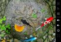 Koi Free 3D Live Wallpaper screenshot 2