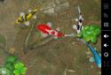 Koi Free 3D Live Wallpaper screenshot 3