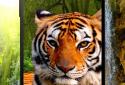3D animals parallax live wallpaper screenshot 1