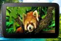 3D animals parallax live wallpaper screenshot 10
