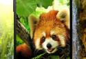 3D animals parallax live wallpaper screenshot 4