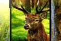 3D animals parallax live wallpaper screenshot 6