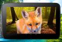 3D animals parallax live wallpaper screenshot 9