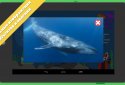 Детская энциклопедия — Woncy screenshot 19
