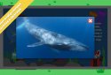 Детская энциклопедия — Woncy screenshot 5