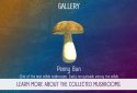 Real Mushroom Hunting Simulator 3D screenshot 2