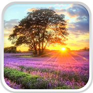 Coucher de soleil parfait