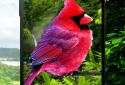 3D birds parallax live wallpaper screenshot 1