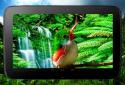 3D birds parallax live wallpaper screenshot 10