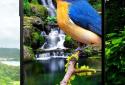 3D birds parallax live wallpaper screenshot 2