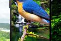 3D birds parallax live wallpaper screenshot 3
