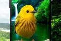 3D birds parallax live wallpaper screenshot 4