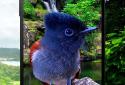 3D birds parallax live wallpaper screenshot 5