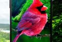 3D birds parallax live wallpaper screenshot 7