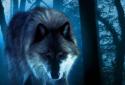 Wolves Night live wallpaper screenshot 1
