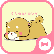 Dog Wallpaper Cute Mini-Shiba Theme