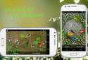 Koi Pond Pro Live Wallpaper screenshot 2