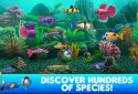Fish Tycoon 2 Virtual Aquarium screenshot 2