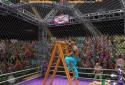 Cage Wrestling Revolution: Ladder Match Fighting screenshot 5