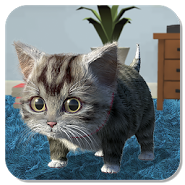 Cat Simulator - and friends