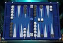 Hardwood Backgammon screenshot 10