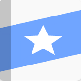 Remember: Переводчик и словарь