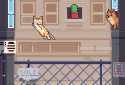 CatsJump! screenshot 2