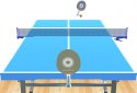 Table Tennis 3D Virtual World Tour Ping Pong screenshot 1