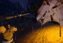 ARK: Survival Evolved screenshot 4