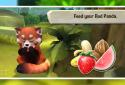 My Red Panda - Your lovely pet simulation screenshot 3