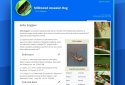 Insect Identifier screenshot 10