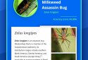Insect Identifier screenshot 2