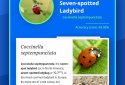 Insect Identifier screenshot 5