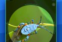 Insect Identifier screenshot 6