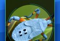Insect Identifier screenshot 9