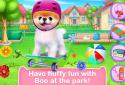 Boo - The Worlds Cutest Dog screenshot 4