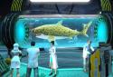 Whale Shark Attack Simulator screenshot 3