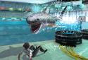 Whale Shark Attack Simulator screenshot 5