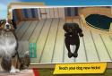 Dog Hotel Premium – Play with cute dogs screenshot 2