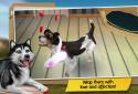 Dog Hotel Premium – Play with cute dogs screenshot 3