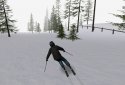 Alpine Ski III screenshot 8