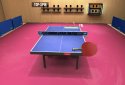 Table Tennis Recrafted: Genesis Edition 2019 screenshot 4