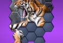 Hexa Jigsaw Puzzle screenshot 1