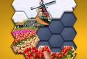 Hexa Jigsaw Puzzle screenshot 3