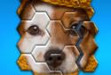 Hexa Jigsaw Puzzle screenshot 4