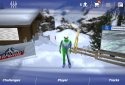 Alpine Arena screenshot 5