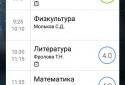Школьный дневник screenshot 3