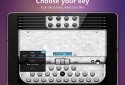 Accordion Diatonic Pro screenshot 8